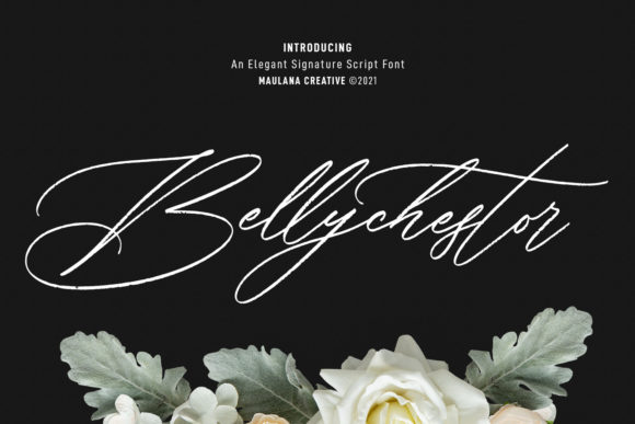 Bellychestor: A Script Font That Elevates Your Brand