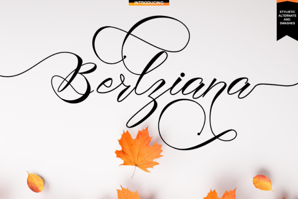 Berlziana: A Premium Handwritten Font That Elevates Campaign Design