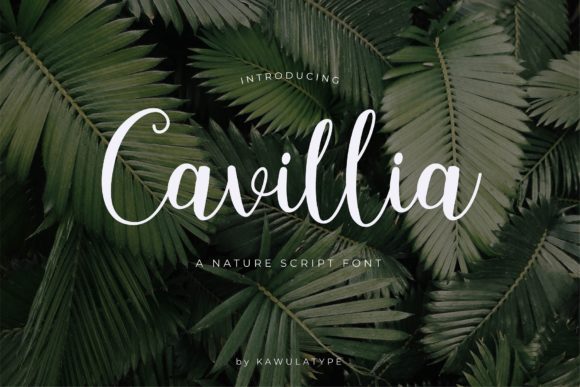 Cavillia Font: A Delicate Script for Modern Branding Projects