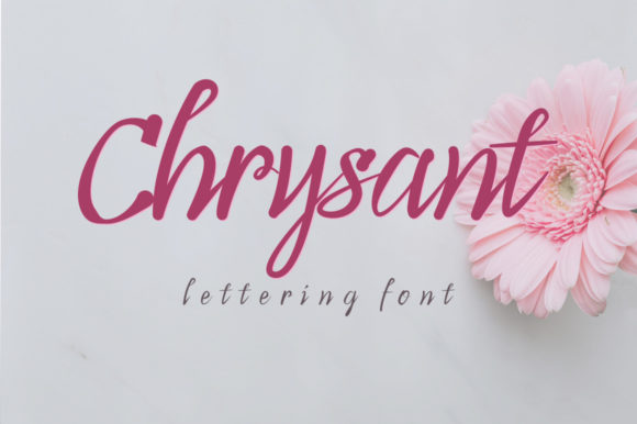 Chrysant Font: A Premium Script Typeface for Strong Brand Identity