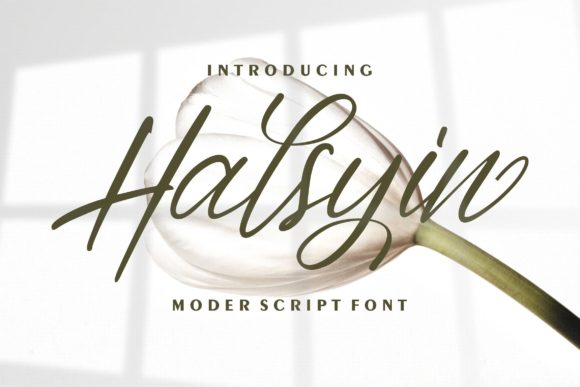 Elevate Your Web Design with the Halsyin Handwritten Typeface